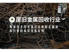 斯派克手持光谱仪在废旧金属回收行业的高效分拣应用  